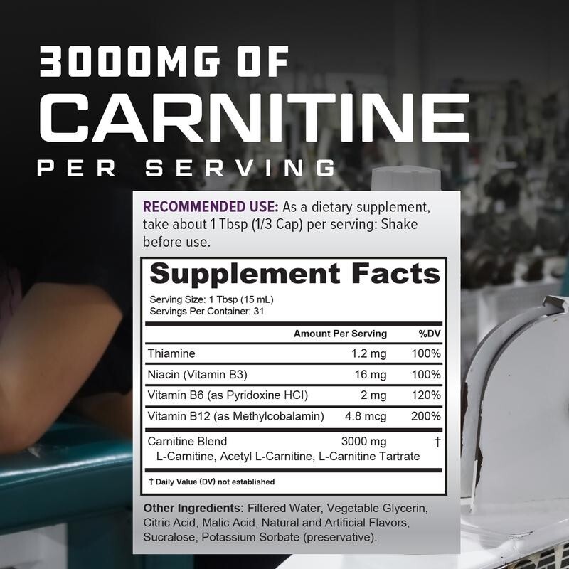 액상 L-카르니틴 보충제 - 지방 대사, 세포 에너지  - L-Carnitine Liquid 리뷰 및 가격