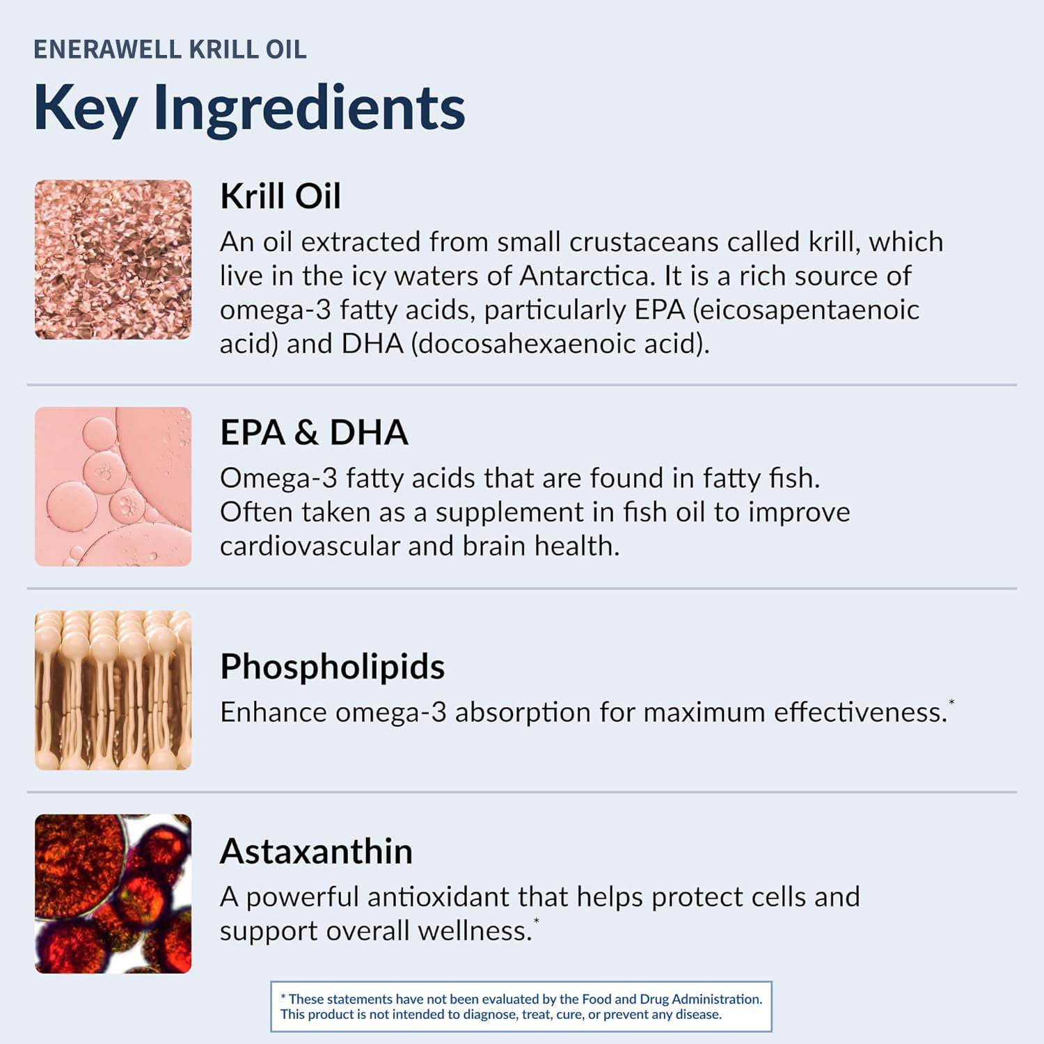 남극 크릴 오일 1000mg 캡슐 |   3배 강력한  - Krill Oil Supplement 리뷰 및 가격
